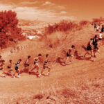 Brooks XC Championships