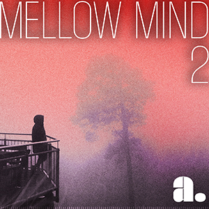 14-mellow2