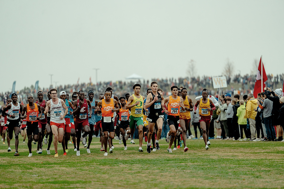 2025 NCAA Cross Country Championships