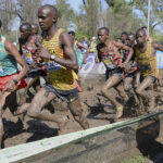The World Athletics Cross Country Championships