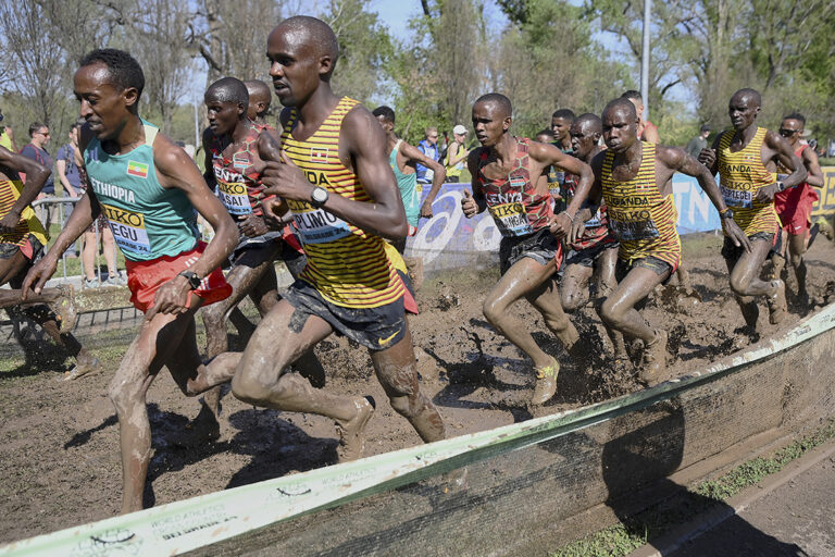 The World Athletics Cross Country Championships
