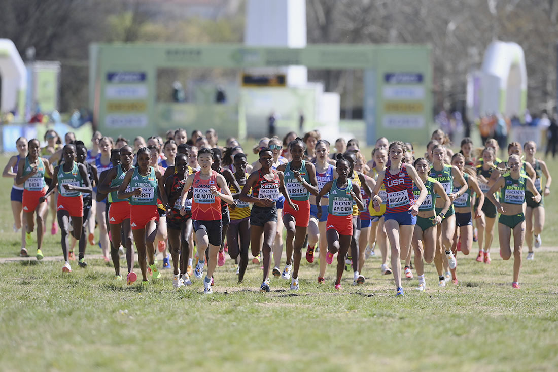 World Athletics Cross Country Championships