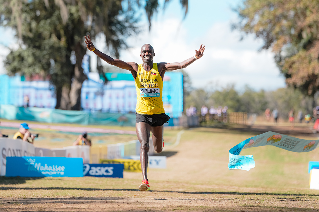 Kiplomo wins third straight as Ngetich dominates